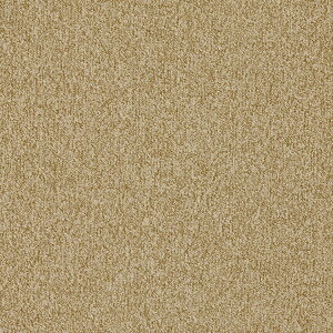 GA100  VFEV@\ihimNHoj50cm×50cm@40N𒴂jւ^CJ[ybg̑㖼BikCAꌧA͏܂Bj