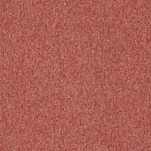 GA100  VFEV@\ihimNHoj50cm×50cm@40N𒴂jւ^CJ[ybg̑㖼BikCAꌧA͏܂Bj