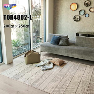  O TOR4802-L@200cm×250cm ͂ؖڂ̃eNX`[\LȃOBԂO[hAbv鍂iȃECgOłB