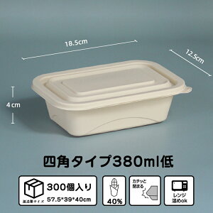 ĝĕٓ 300 18.5*12.5*4cm 380ml ĝ ٓ R[X^[` Lv sNjbN Ɩp e[NAEg A iX Ⓚ WΉ Cxg Jg[ Lb`J[