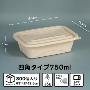 ĝĕٓ 300 19.5*13.5*6cm. 750ml ĝ ٓ R[X^[` Lv sNjbN Ɩp e[NAEg A iX Ⓚ WΉ Cxg Jg[ Lb`J[
