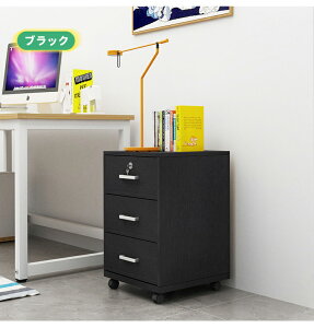 fXNS LX^[t X t 3i Lrlbg TCh`FXg e A4Ή ؐ bN e N~ p\RS pcbN ItBXfXN [ o I 40cm 