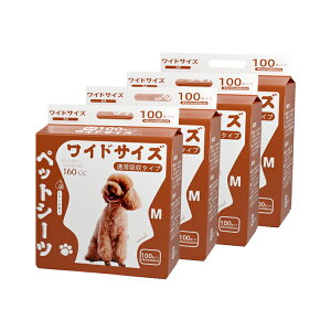 ybgV[c  e  L gC ybgp V[c ^ L  gCV[g gCV[c ܂Ƃߔ Ɩp ybgp  gCV[g M[200 Ch 100 X[p[C