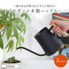 じょうろ おしゃれ 木製ハンドル ステンレス 室内 観葉植物用 コンパクト ミニジョウロ かわいい インテリア 如雨露 高級感 園芸用品 水差し 散水用具 園芸 屋内 1000ml