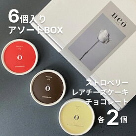 6個入りアソートBOX チョコレート レアチーズケーキ ストロベリー プロテインアイス 高タンパク ダイエット デザート ギフト 詰め合わせ 罪悪感なし スイーツ 美容 健康 おやつ 置き換え 食品 痩せる 低糖質 糖質制限 タンパク質 人気 おすすめ プレゼント お歳暮 お中元