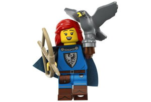 S 71037 ~jtBMA V[Y24 鏠(Falconer-05) - ~jtBO (1z688)