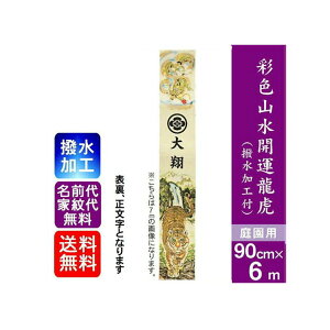 �y�ʐF�R���J�^���Ձz 6m ���ҊG�̂ڂ� �喼�� �o���� �ߋ�̂ڂ� �y�������H�t���z�̂ڂ�� ���� ������������ �뉀�p ���O���������� ���ѓ�� XTS601 �ߋ�� ���қ� ���ҊG�̂ڂ�