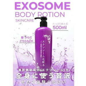 GN\\[ϐ 500ml e  炾p ϐ CX`[[V ێ GN\\[ qgbRԗtnזEGN\\[qA_ R[QvZ^ Vi Gw