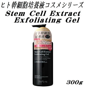 STEM CEll EXTRACT Exfoliating Gel �q�g���זE�|�{�t �s�[�����O�W�F�� 300g ���{�� �y4550668028145 590�z�v���`�i���[�x�� �q�g���זE�z�� �\�t�g�s�[�����O �p�� ���� �ь� ���� ������ �q�g���זE�|�{�t