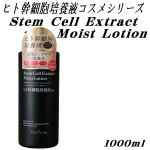 STEM CEll EXTRACT ���C�X�g���[�V���� �q�g���זE�|�{�t�z�� �G�C�W���O�P�A���ϐ� 1000ml ���{�� �y4550557654141 590�z�v���`�i���[�x�� �q�g���זE�|�{�t�z�� ���ϐ� �G�C�W���O�P�A �L�� �c�� ����