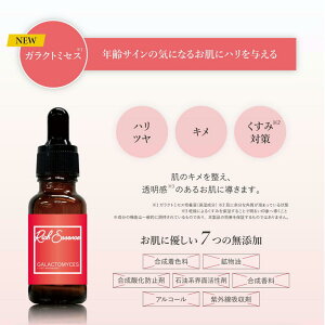 KNg~ZX et 20ml Zxet t y4573340595186 250z XLPA Ďg WPA et ϐ Zxb`GbZX GCWOPAŃn̂邨 Sb`GbZ