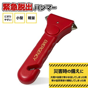 Eon}[ KXn}[ V[gxgJb^[t z_[t HED-6137  KX  ԃhA j  ԃhA  hA ߂ꂽ Eo n}[  n}  