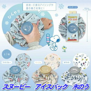 Xk[s[ ACXobO X̂ XX ~btB[ACXobN ~btB[X̂ M łg N[_E XX cɑ劈 ^ a21cm 1.2L LN^[X̂