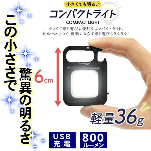 COB RpNgCg [d RpNgCg 800[ Ă邢 X^h@\ wʎ 3̓_[h Jri 𔲂 d _ ^CvC y v Ɩ 