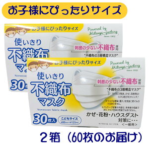 ql}XN sDz}XN 3˂6˂炢܂ 30×2 zCg y4905374101116×2zh̏ȂsDz̗p {YƋKi ʃ}XN KiKi ǂTCY ߃}XN ǂsD