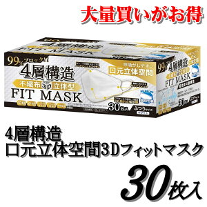 ʕ 4w\ 3D̕sDz}XN 30 ܂Ƃߔ 2 5 10 20 50 Šʕ ӂTCY ₷ jp l ̃}XN 99Jbg zCg ĝ 