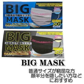 BIG MASK ビッグマスク 大きめサイズ 3層構造 不織布 30枚 ホワイト 白 ブラック 3D 立体構造 使いきり おとなサイズよりも大きめ ゆったりマスク ふつうサイズが窮屈な方 顔半分を隠したい方へ 大きいマスク