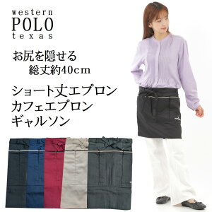KB WESTERN POLO V[gGv M\ JtFGv O| t[TCY  R Lb` |Pbgt ubN lCr[ J[L GW x[W |Pbgĕ֗