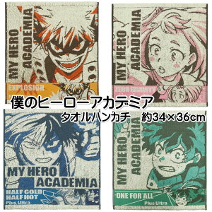 l̃q[[AJf~A nh^I ^InJ` 34×36cm ^I nJ` 100 LN^[ R hL ┼R tH[I[ d [OreB j