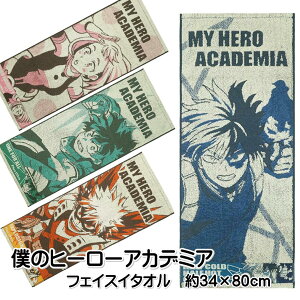 l̃q[[AJf~A ^I tFCXC^I 34×80cm ^I 100 LN^[ R hL ┼R tH[I[ d [OreB j ΒJov q