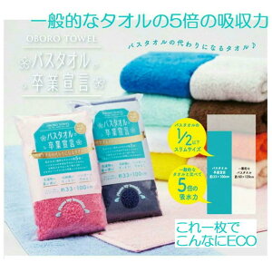 oX^IƐ錾 k 19F oX^I Ɛ錾 19J[ 33×100cm { ڂ^I OtFCX^I oX^I z͖5{ z^I 19F VFׁy [