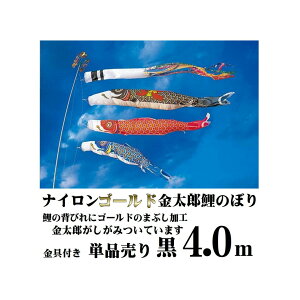 ̂ڂ iCS[h 1121-07 yS[hY 4.0mz iCS[hY 4.0m Pi Pi S[h Y t Ot ȈՃv[g ̂ ̂ڂ1C