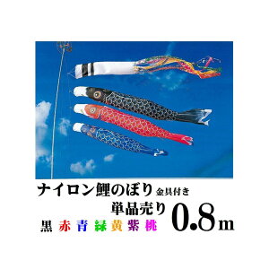 ̂ڂ iC 0.8m Pi Pi t ȈՃv[g ̂ ̂ڂ1C