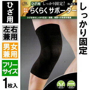 Ђp 炭炭T|[^[ Ђp T|[^[ ЂpT|[^[y4580139692391zʋC Lk ĜMDی삵A֐߂̓T|[g܂ Sy X|[c ×p 