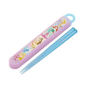 プリンセス 箸&箸ケース スライド箸&箸箱セット 4973307560095 スライドはし はし箱セット 抗菌 食洗機対応 箸 ABS2AMAG スケーター ランチ 銀イオンで抗菌 壊れにくい 名前入れスペース 日本製