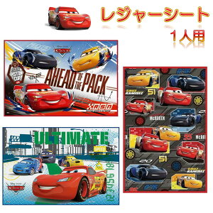 W[V[g J[Y sNjbNV[g 60×90cm q  RpNg lp y h LN^[ObY 킢  J[YV[g J[YW[V[g fBYj[ sNT