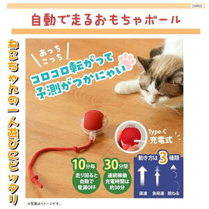 ybgp  ő邨{[ ˂lVт y4570073368964 600z [d RR] \Ȃ ˂p lRp ybgpi ɂ񂾂 L