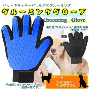 ybg O[~O O[u uE1v  h~ 4570073363624 }bT[WɂȂ܂ io[  L uV g~O  O[~OO[u ybguV L 