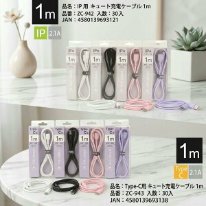 �[�d�P�[�u�� 1m 2m USB TypeC IP �^�C�vC�P�[�u�� ���C�g�j���O �Ή�iPhone17/16/16E/15 50cm USB C �P�[�u�� Car Carplay �[�d�P�[�u�� Plus/iPhone 15 Pro Max/�����ӂ���16e/iPad Pro 12.9/ 11/ 10/Air Auto�Ԃ̏[�d��USB toC U