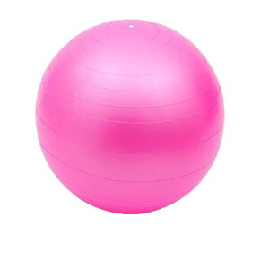 �o�����X�{�[�����K�{�[���t�B�b�g�l�X�{�[��PVC 50/60/70/80/90 CM�}���`�J���[�I���^���A�t�B�b�g�l�X�A���W���[�A�Q�[���ɓK�����_�C�G�b�g�t�B�b�g�l�X�{�[���s���e�B�X�{�[�� (�s���N, 80