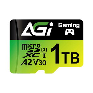 1TB TF138 }CNsdJ[h, ntendo SwitchmF.  MicroSDXC A2 U3 V30 4K US-I U3 (ǂݏoxő170MB/sAݑxő160MB/s) A_v^t