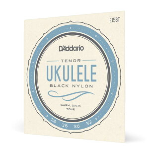 D'Addario �_�_���I �E�N������ Pro-Arte Rectified Black Nylon EJ53