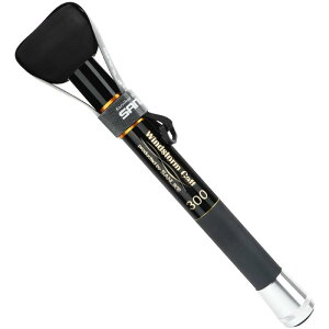 CJMt Windstorm Gaff Lk p CJpMt AICJނ300 400