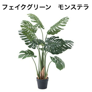 tFCNO[ Xe lHϗtA t  CeA  O[ [t  K[f   J GRN-11