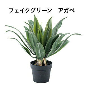 tFCNO[ AKx lHϗtA t  CeA  O[ [t  K[f   J GRN-14