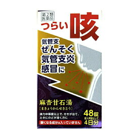 【第2類医薬品】 JPS 麻杏甘石湯エキス錠N 48錠