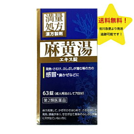 【第2類医薬品】麻黄湯 エキス 錠N 63錠 発熱 さむけ ふしぶしが痛む JPS ジェーピーエス まおうとう 麻黄 日本製 漢方製薬 JPS麻黄湯エキス錠N