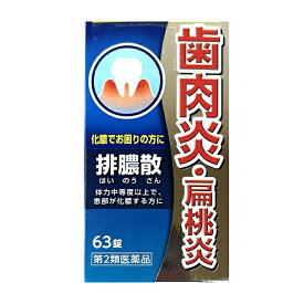 【第2類医薬品】排膿散エキス錠J 63粒 はいのうさん 【正規品】