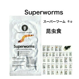 スーパーワーム6g 昆虫食　食べる虫 バグズファーム　非常食 送料無料