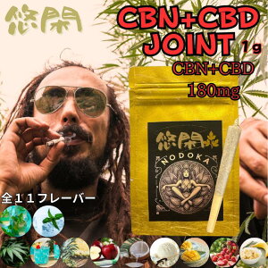 q}\Ԓ őP5{rI CBN{CBD WCg CBD CBN JirmCh  CBDn[u joint ` ` 1{ 1g11t[o[  ~CYN