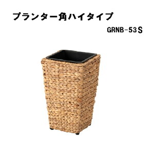 q12/1 P10{rv^[pnC^CvS  ϗtA EH[^[qVX   p^ 5p J GRNB-53S uE