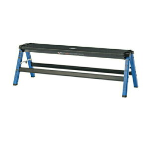 qX[p[SALE őP10{rXebvChXc[ Xc[ L r | |bv AEghA  | A~ ω׏d150kg ܂肽 J PC-704