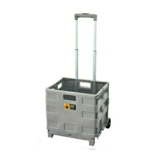 q11/1 P10{rL[S܂肽 LX^[t [RpNg ^ׂ  bNt e ω׏d25kg AEghA ubN O[ O[ x[W J LFS-35