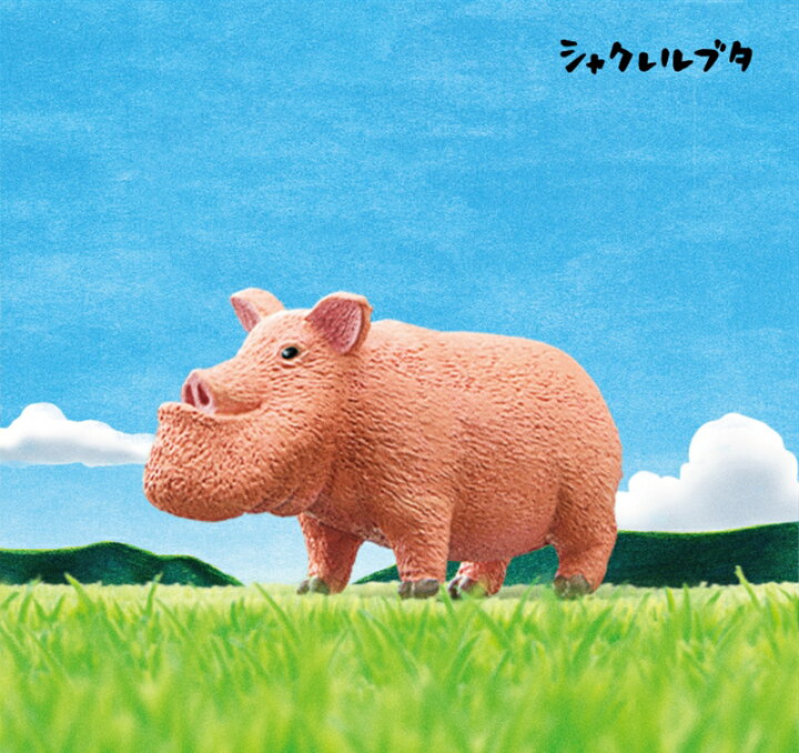 楽天市場】シャクレルプラネット5 シャクレルブタ : アミューム 