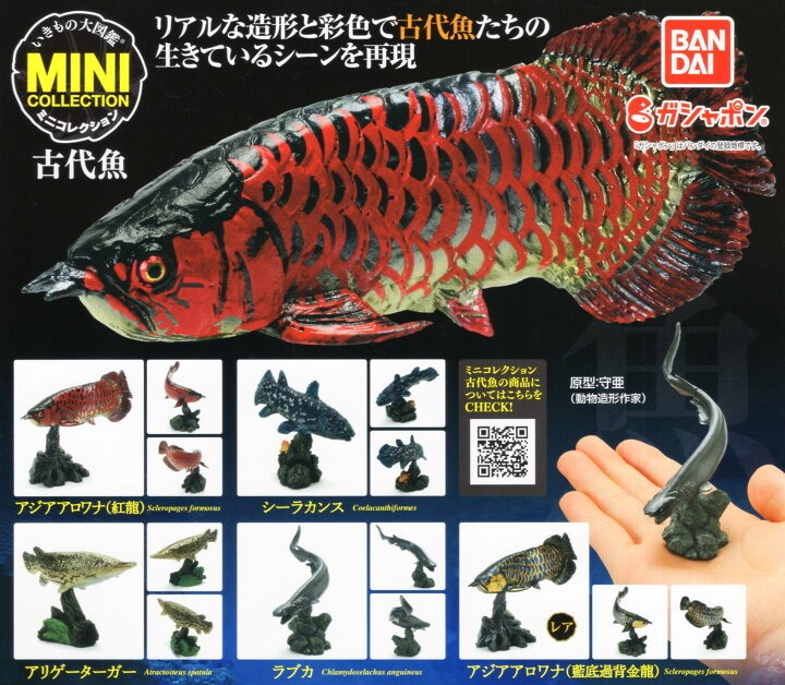 いきもの大図鑑 ミニコレクション 古代魚 全5種セット コンプ コンプリートセット : アミュームショップ 店 いきもの大図鑑 ミニコレクション 古代魚 全5種セット コンプ コンプリートセット : アミュームショップ 店