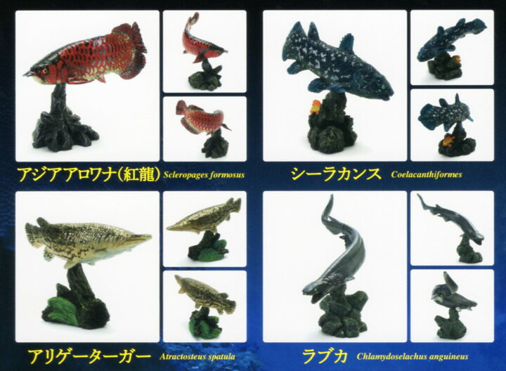 楽天市場】いきもの大図鑑 ミニコレクション 古代魚 4種セット 